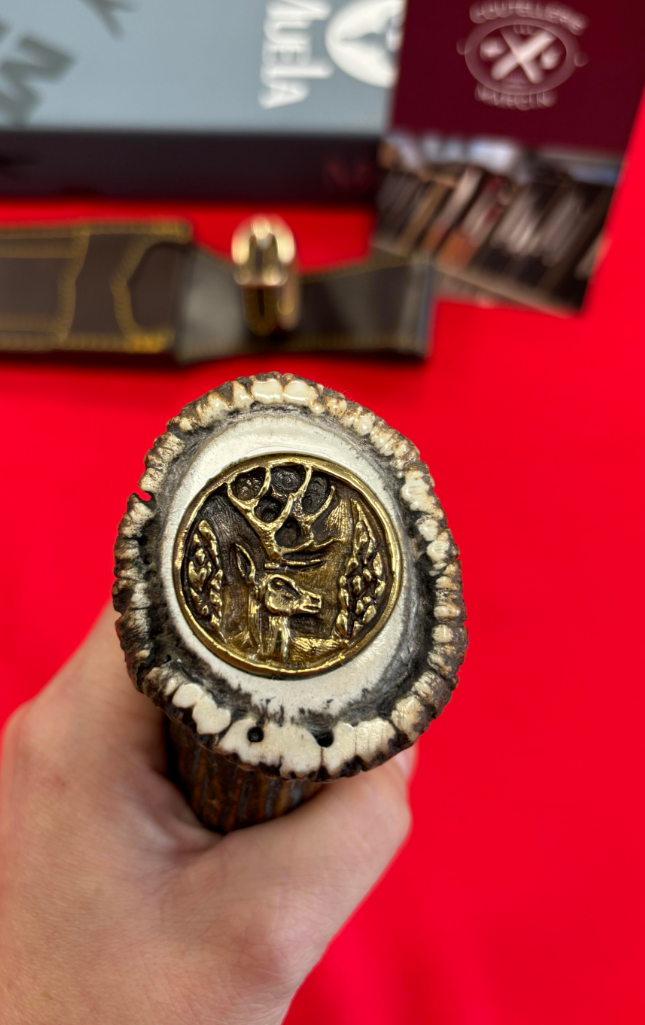 Muela Muflon 26L - Coutellerie Marcin