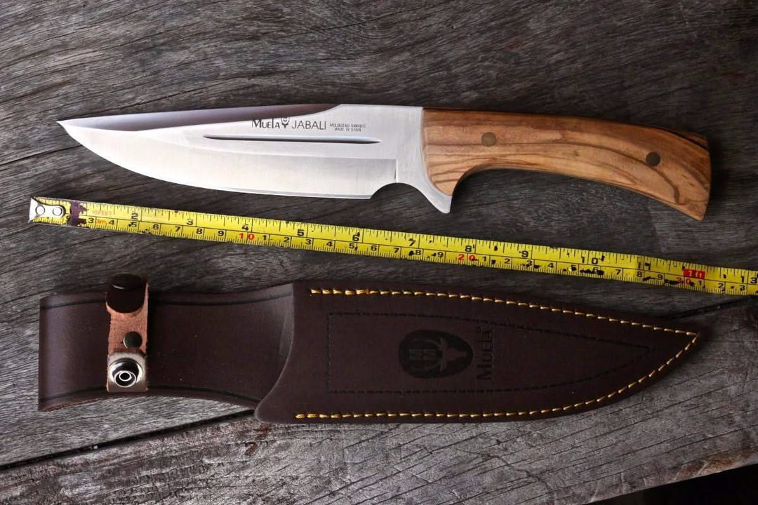 Couteau de chasse Muela Jabali 17OL Bois d'Olive -