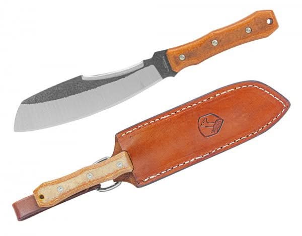 Condor ARPENTEUR DE COL DE MONTAGNE -