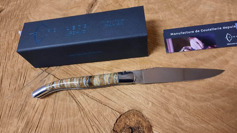 Laguiole G. DAVID Forge Molaire de Mammouth : Pièce unique -
