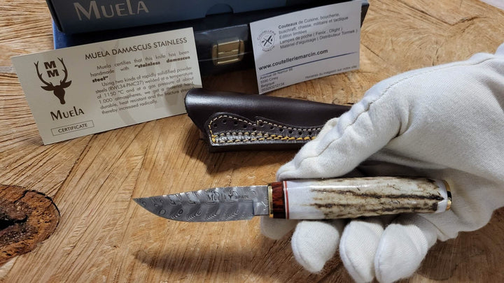 Muela Bowie Lame Damas de 7 cm dans un coffret -