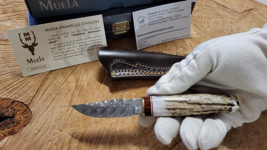 Muela Bowie Lame Damas de 7 cm dans un coffret -