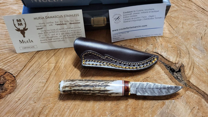 Muela Bowie Lame Damas de 7 cm dans un coffret -