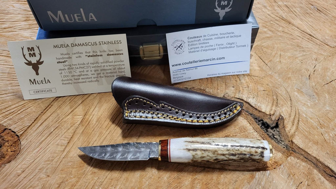 Muela Bowie Lame Damas de 7 cm dans un coffret -