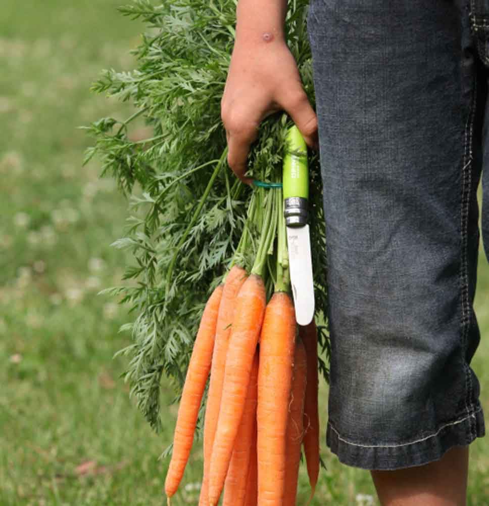 Opinel Mon Premier Opinel Pomme N°07 -