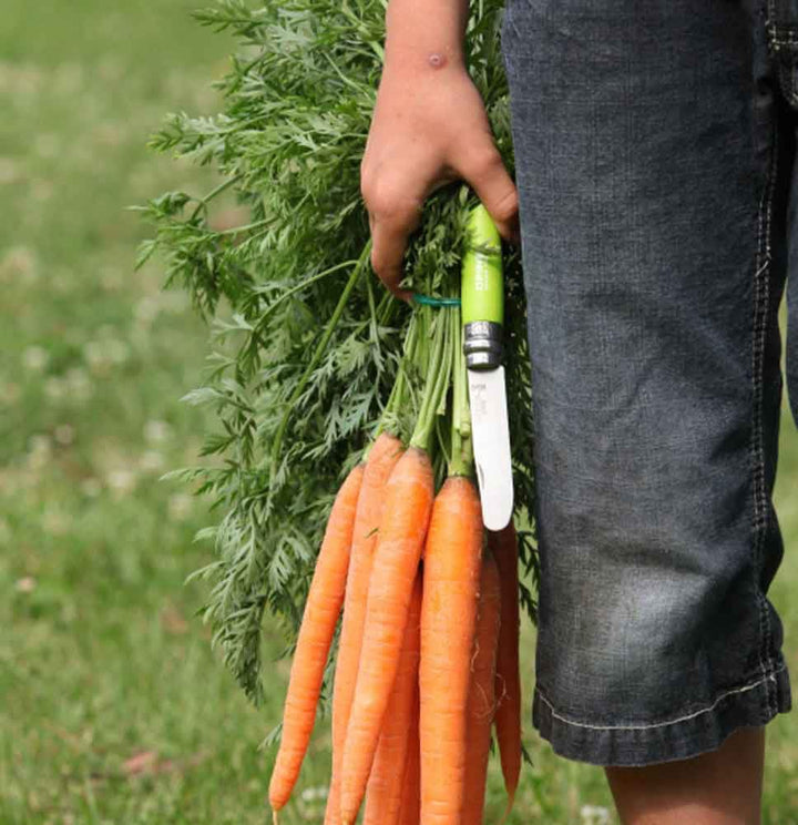 Opinel Mon Premier Opinel Pomme N°07 -