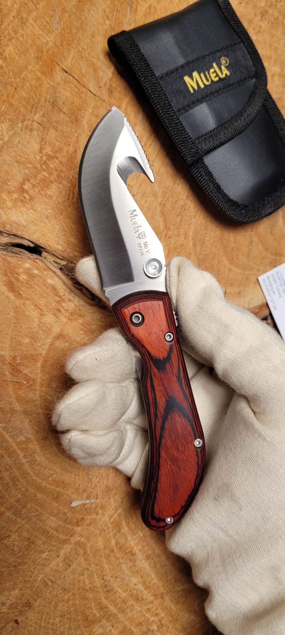 Muela SW8R Couteau pliant à éviscerer -