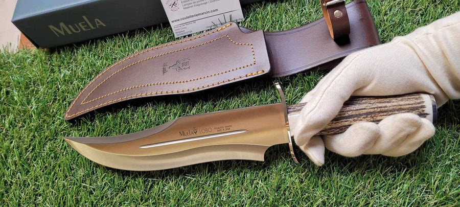 Muela Lobo Bois de cerf -