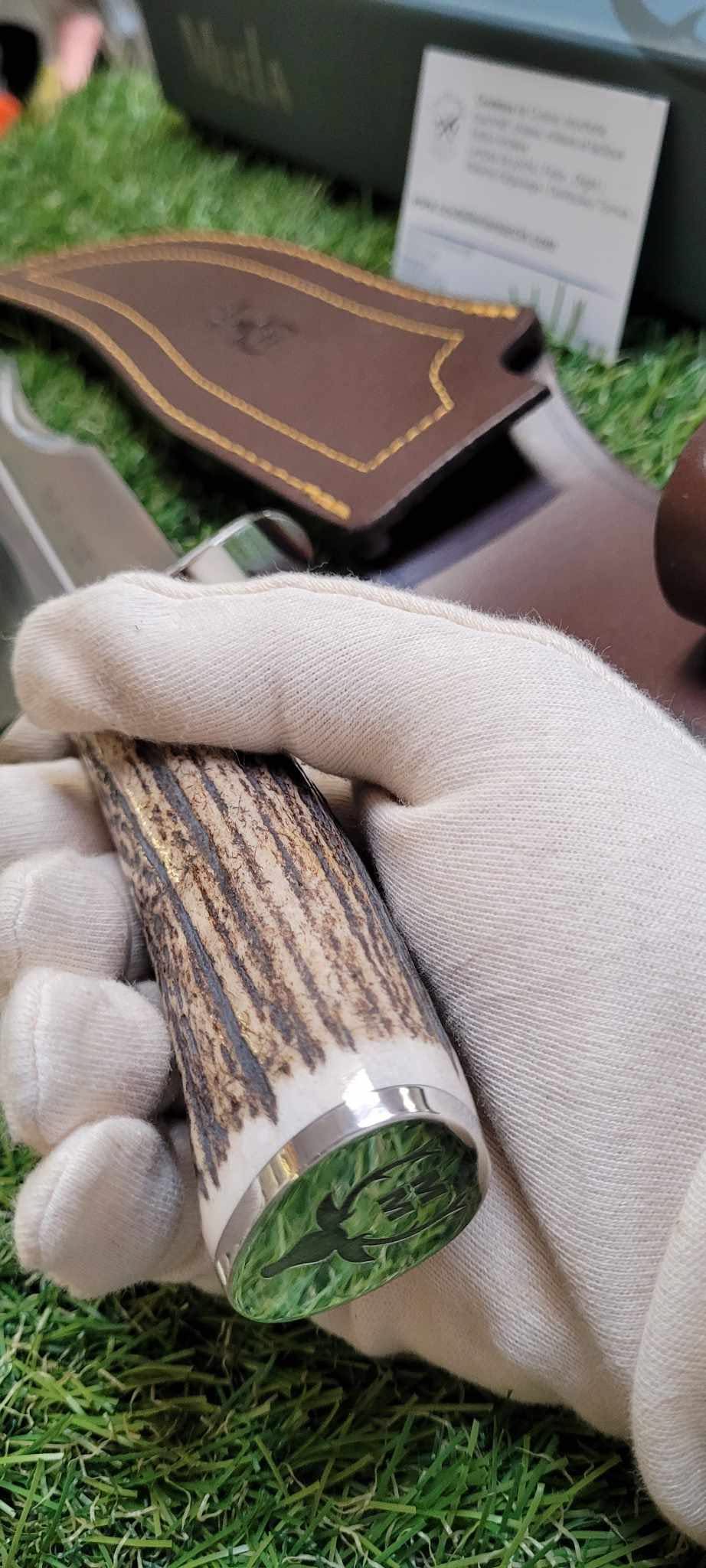 Muela Lobo Bois de cerf -