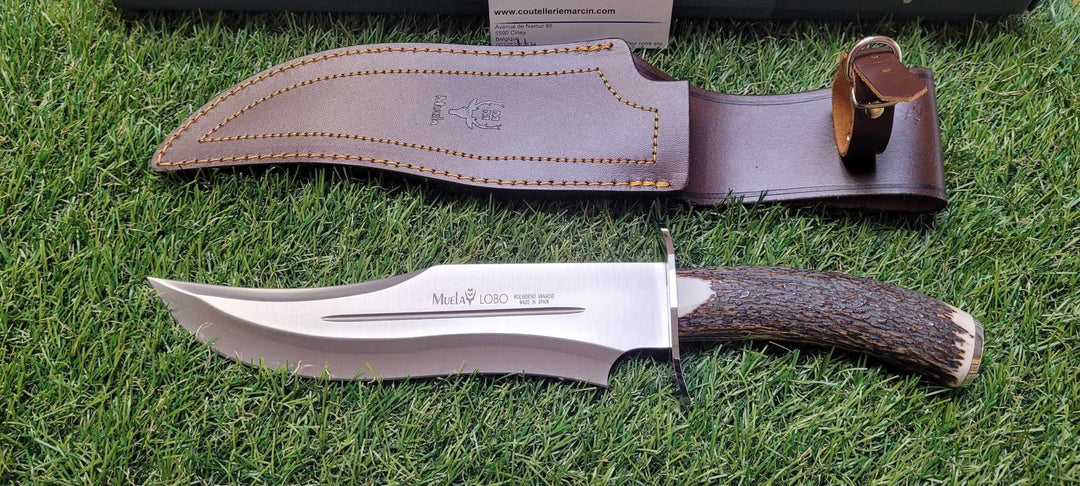 Muela 23A Lobo Couteau de chasse lame Bowie avec étui cuir -