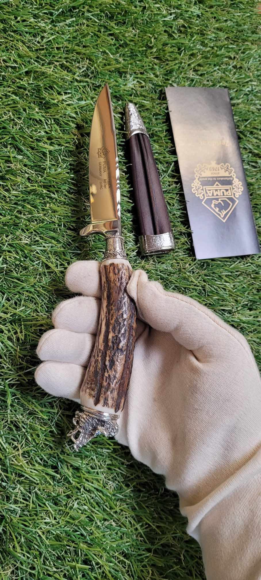 Puma Keiler , modèle Sanglier -