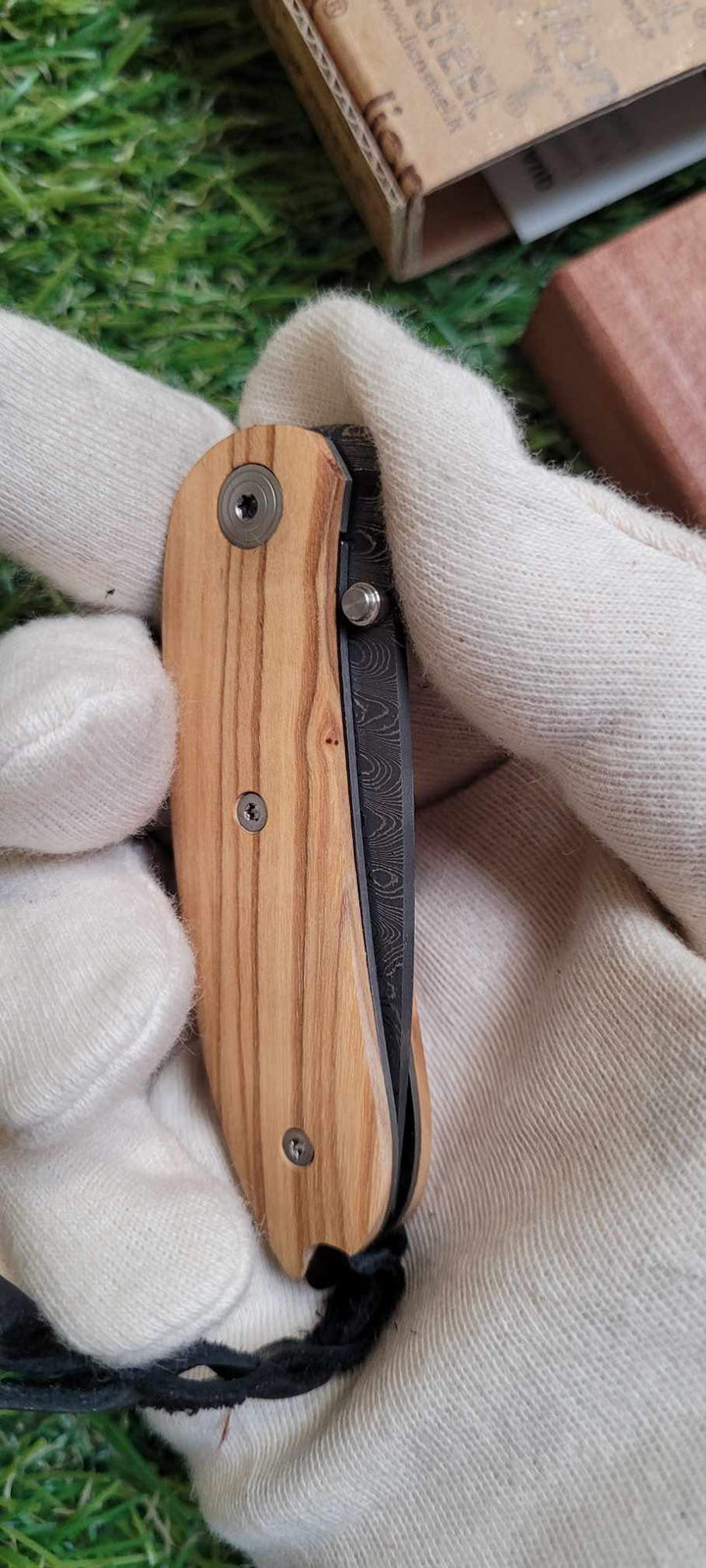 Lionsteel 8210D UL Mini Olivier Lame Damas -