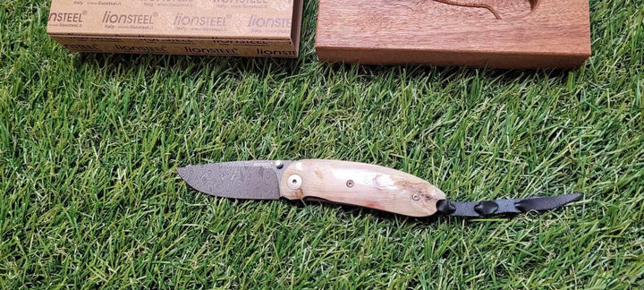 LionSteel 8210DMN Mini Corne de bélier Damas -