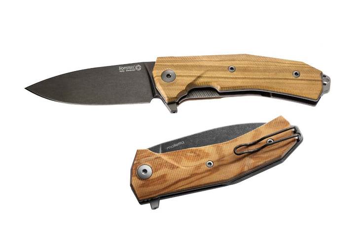 Lionsteel -