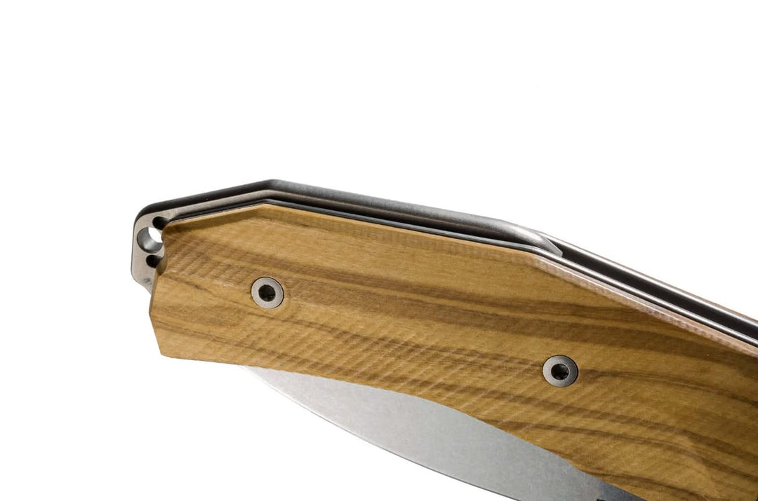 Lionsteel -
