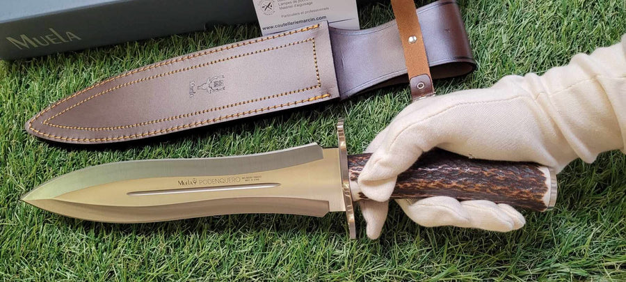 Muela Podenquero-A bois de cerf -