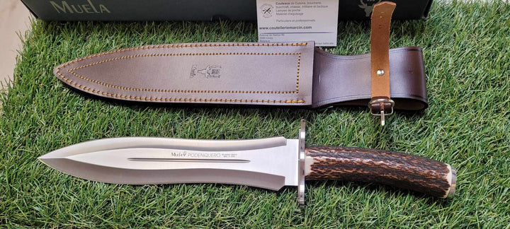 Muela Podenquero-A bois de cerf -