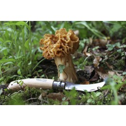 Couteau à champignon Opinel N°08 -