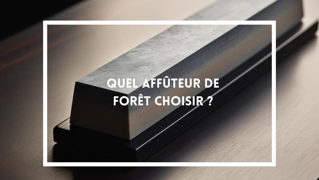 Quel affûteur de forêt choisir ? Guide pour des outils toujours performants