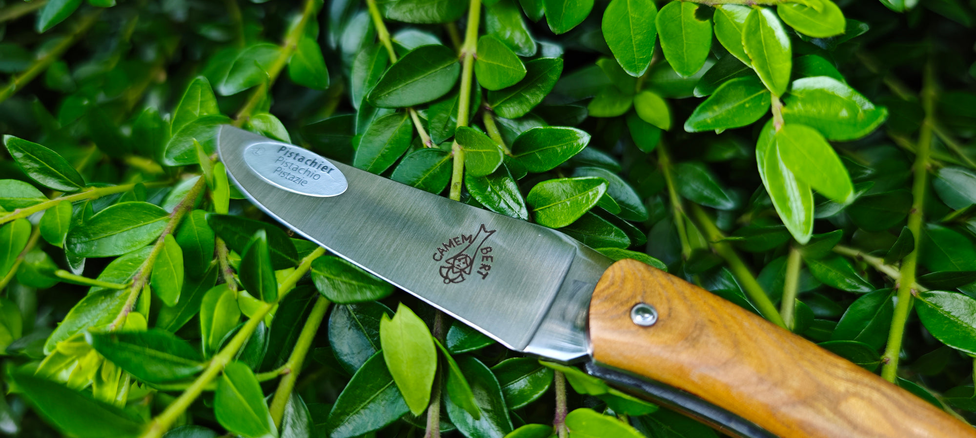 Laguiole en Aubrac - Couteau pliant Camembert - Plein manche en pistachier