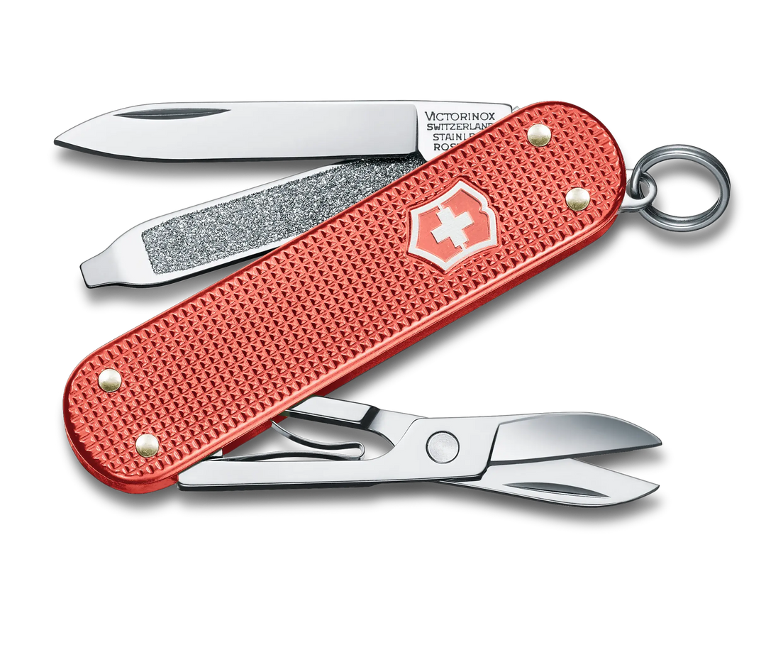 Victorinox Alox 2025 Pack de 3 pièces