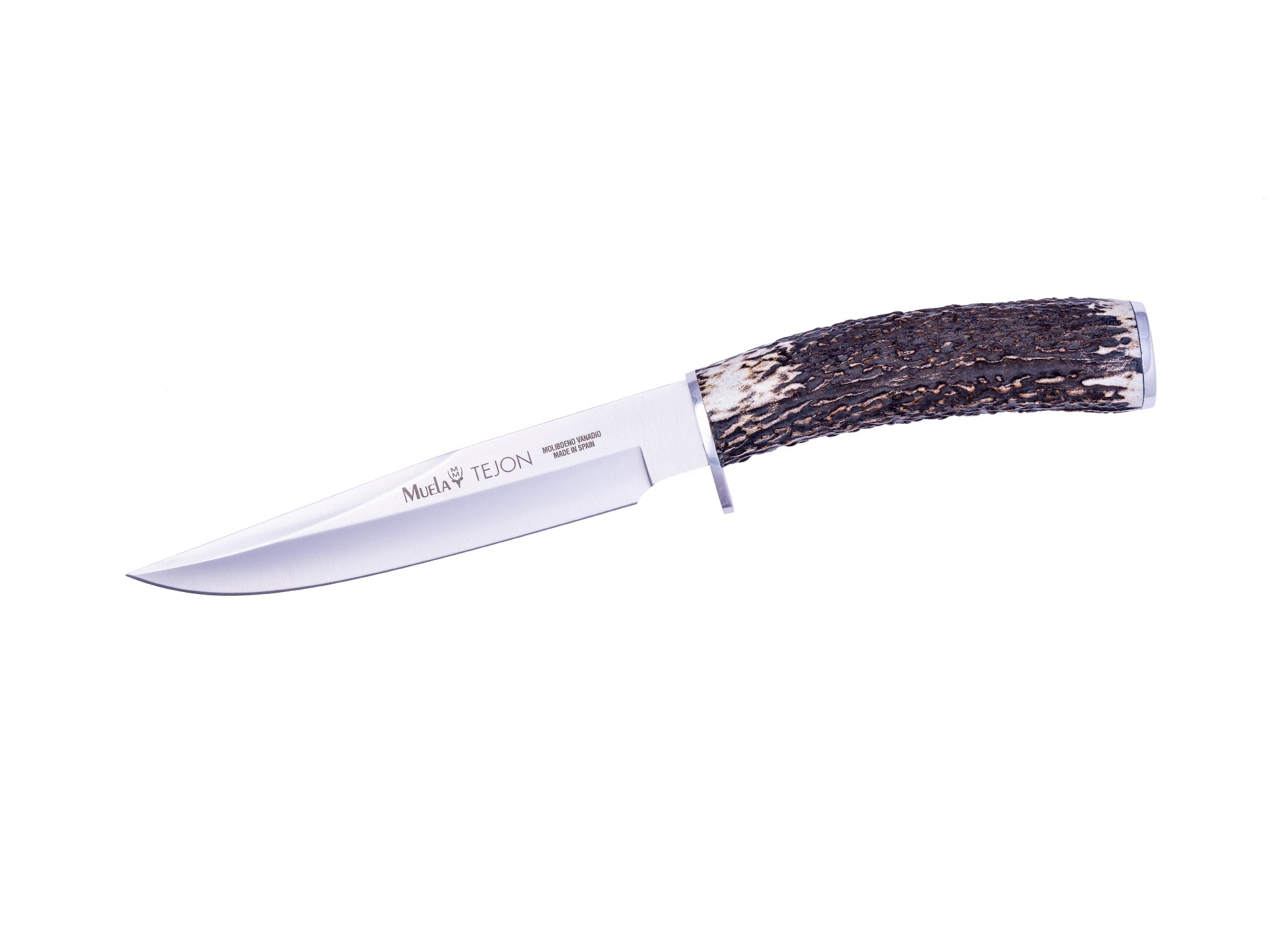 Couteau de chasse Muela Tejon 16 – Lame 16 cm en Acier Molybdène-Vanadium, Manche en Corne de Cerf