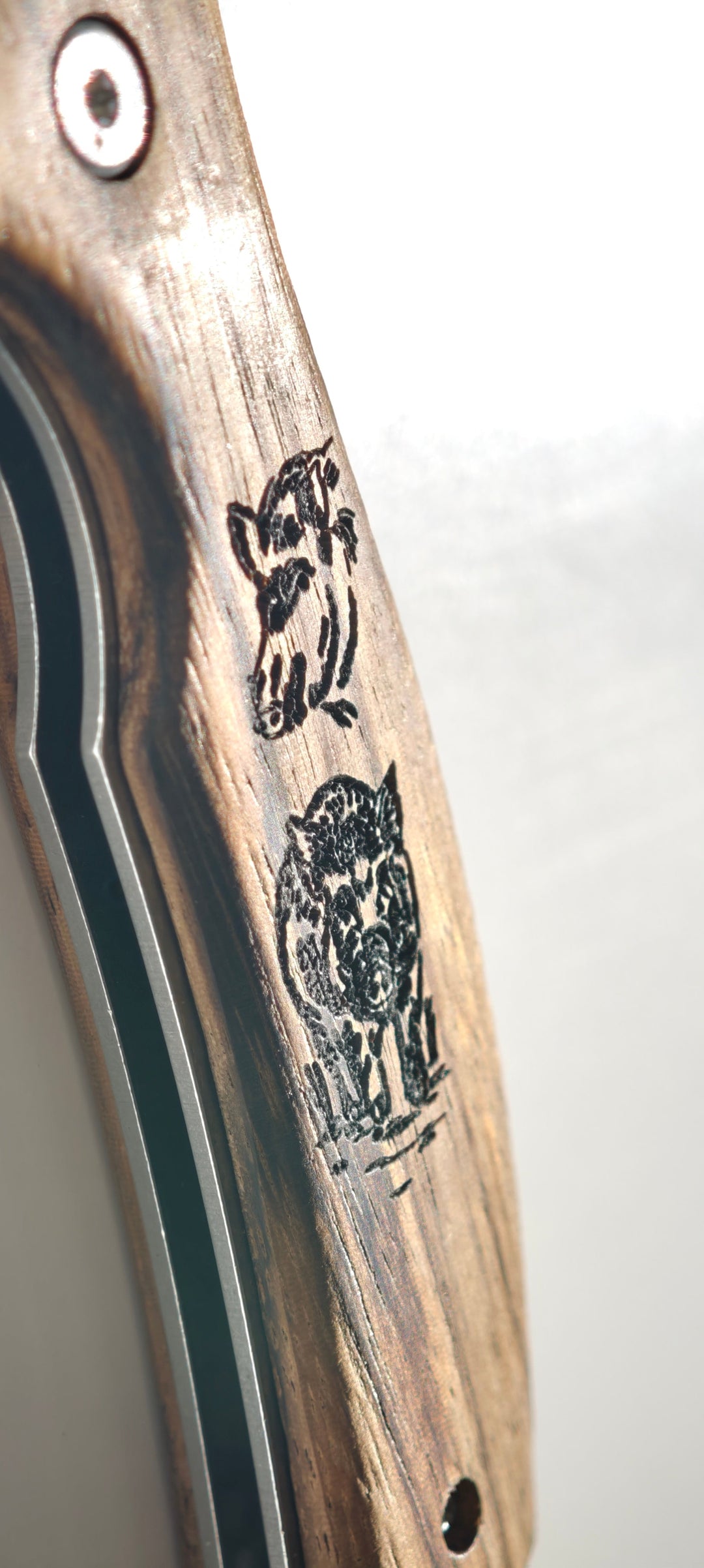 Albainox 18943 - Manche Zebra - GR603 Dessins de sangliers gravés dans le manche