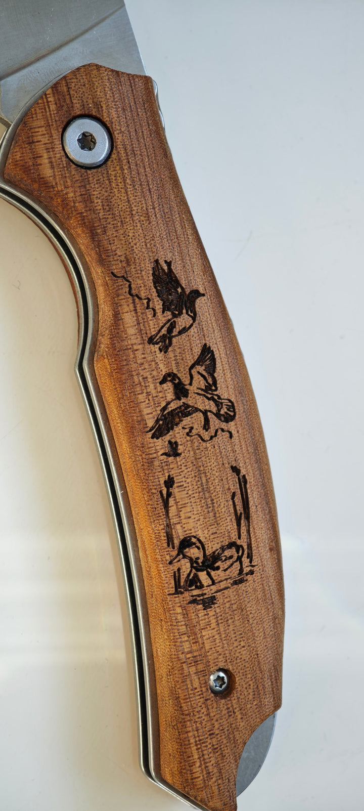 Albainox 18943 - Manche Zebra - GR605 Dessins de canards gravés dans le manche