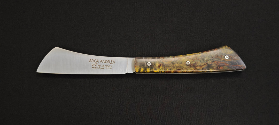 Arca Andrea – Collection Le Fidèle | Référence AABST Manche vert