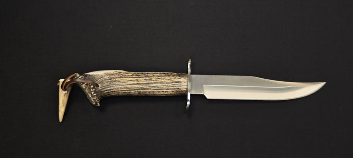 Lame Bowie du Muela Cazorla