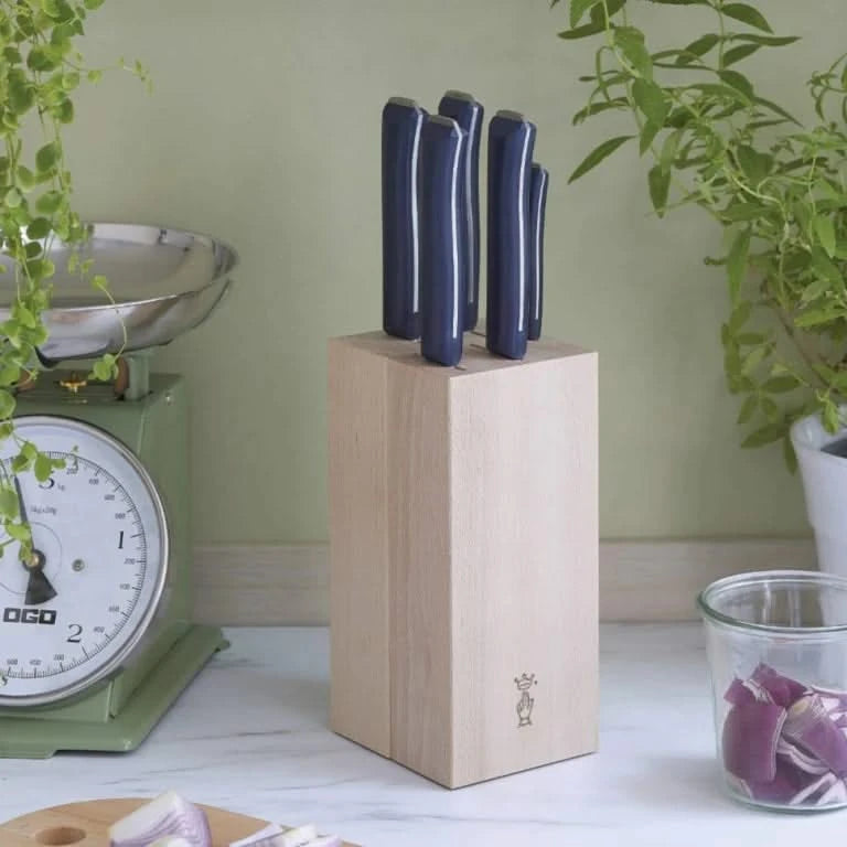 Opinel Bloc 5 Couteaux Intempora - Coutellerie Marcin