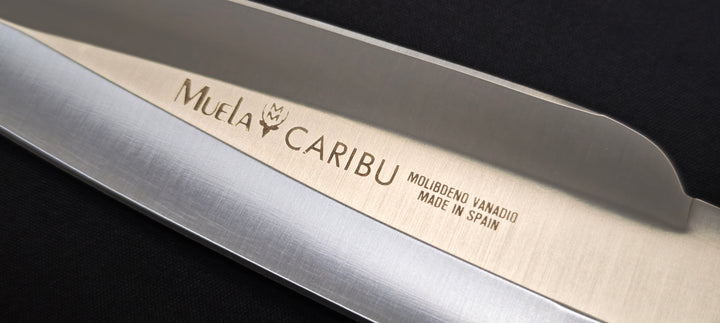 Muela Caribu Dague double tranchant 20,5 cm Inox – Poignard Outdoor & Chasse