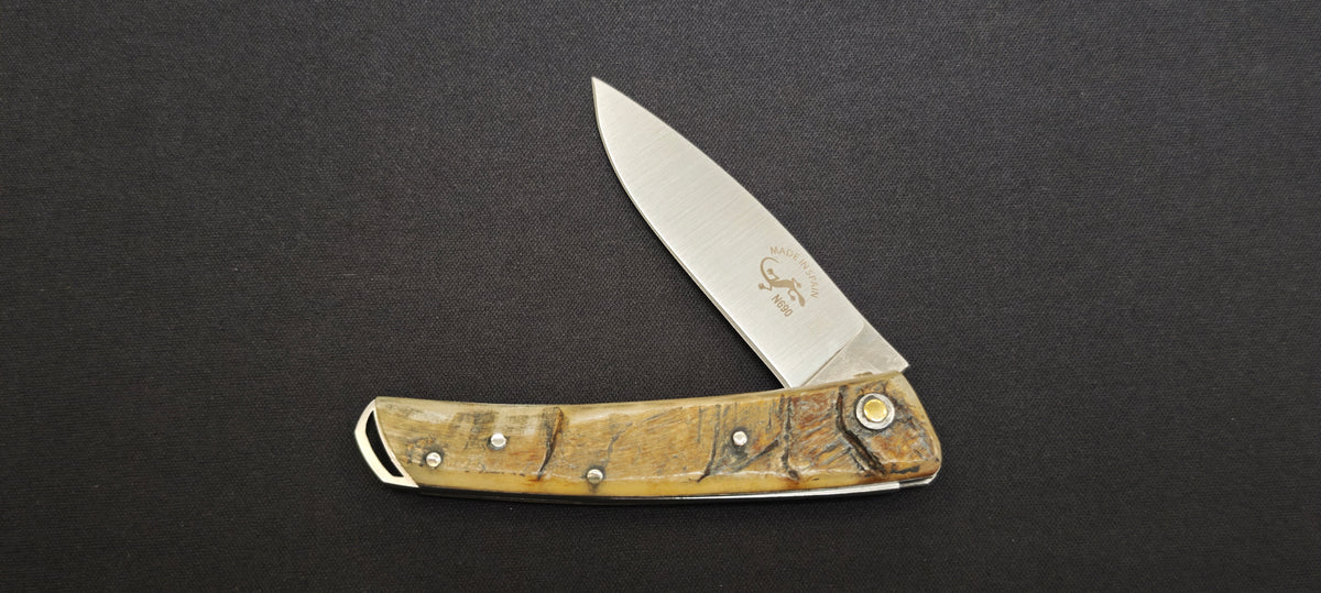 Couteau Salamandra Corne Brute 64265