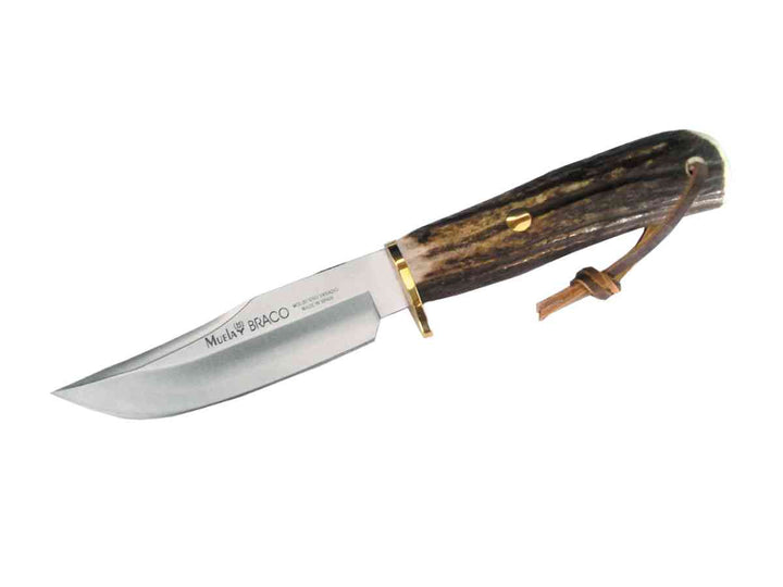 Couteau de chasse Muela BRA11 Braco Lame de 11 cm - 
