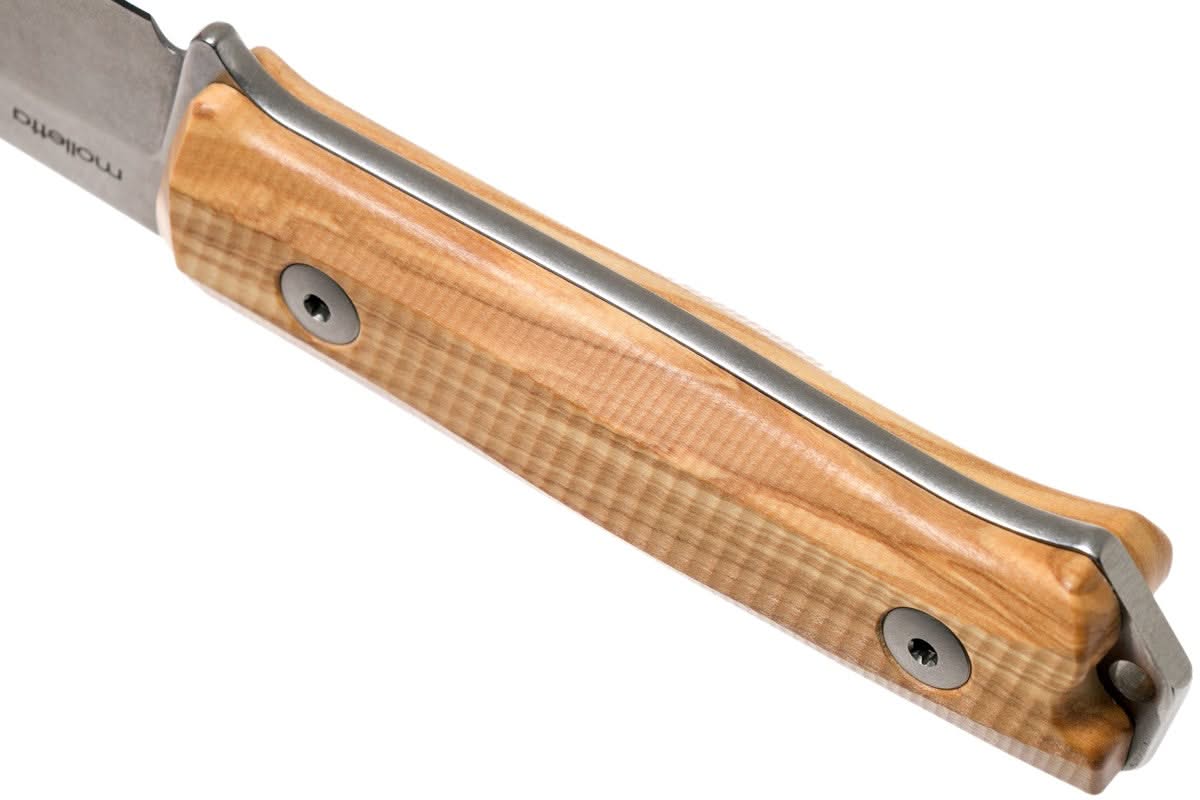 LionSteel B40 UL – couteau fixe Sleipner à manche en olivier