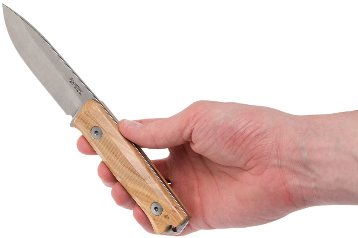 LionSteel B40 UL – couteau fixe Sleipner à manche en olivier