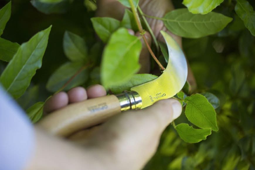 Opinel Serpette N°10 avec lame inox courbe de 10 cm – Coutellerie Marcin