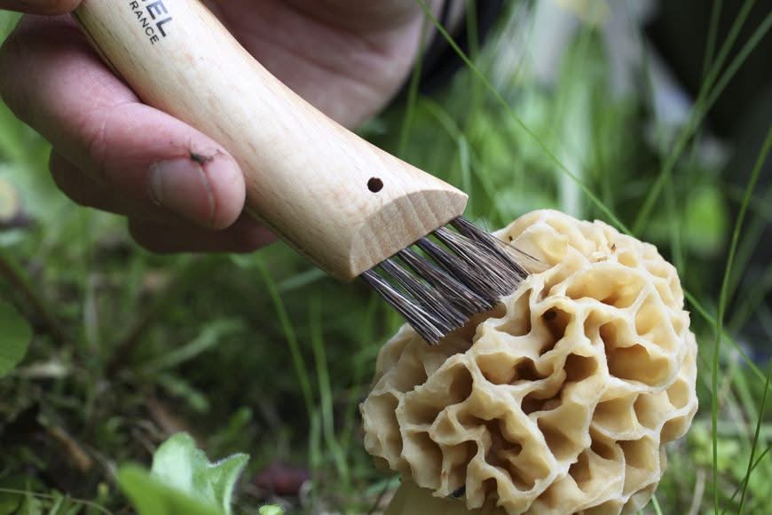Opinel N°08 Champignon avec brosse en soies de sanglier – Coutellerie Marcin
