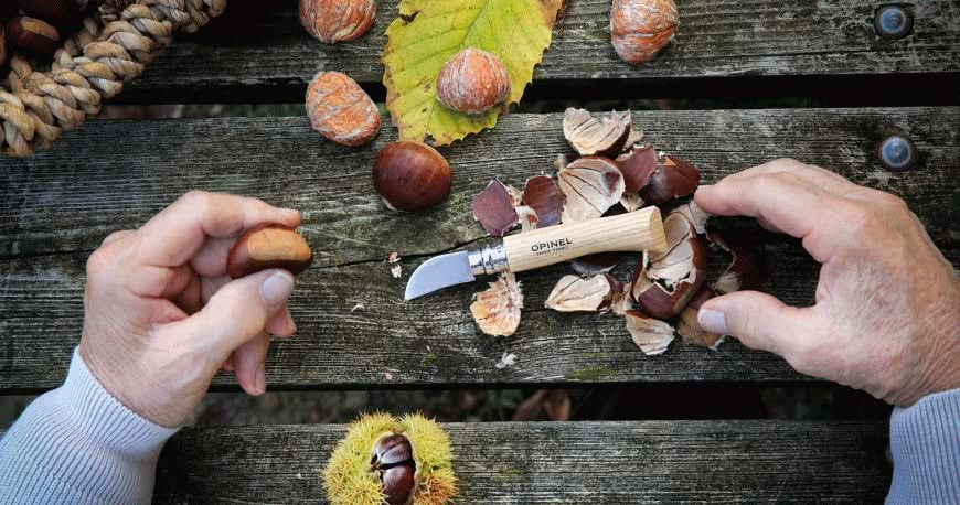 Opinel N°07 Châtaigne ail et dénoyautage - 