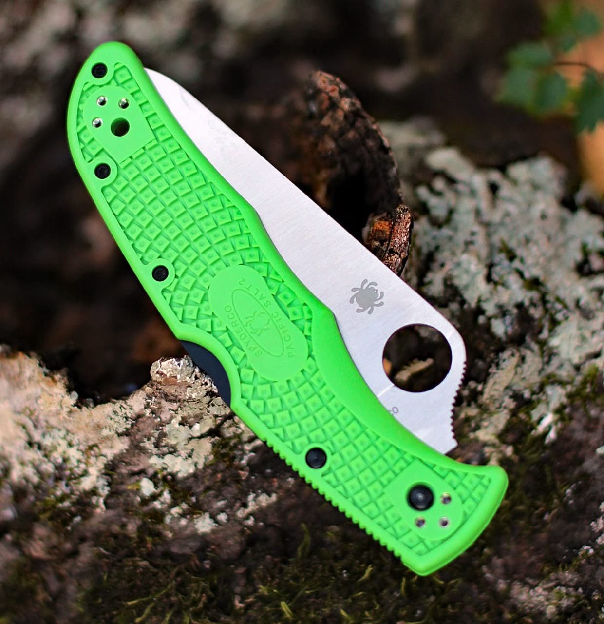 Spyderco C91FPGR2 Pacific 2 Salt LC200N SE Green - 