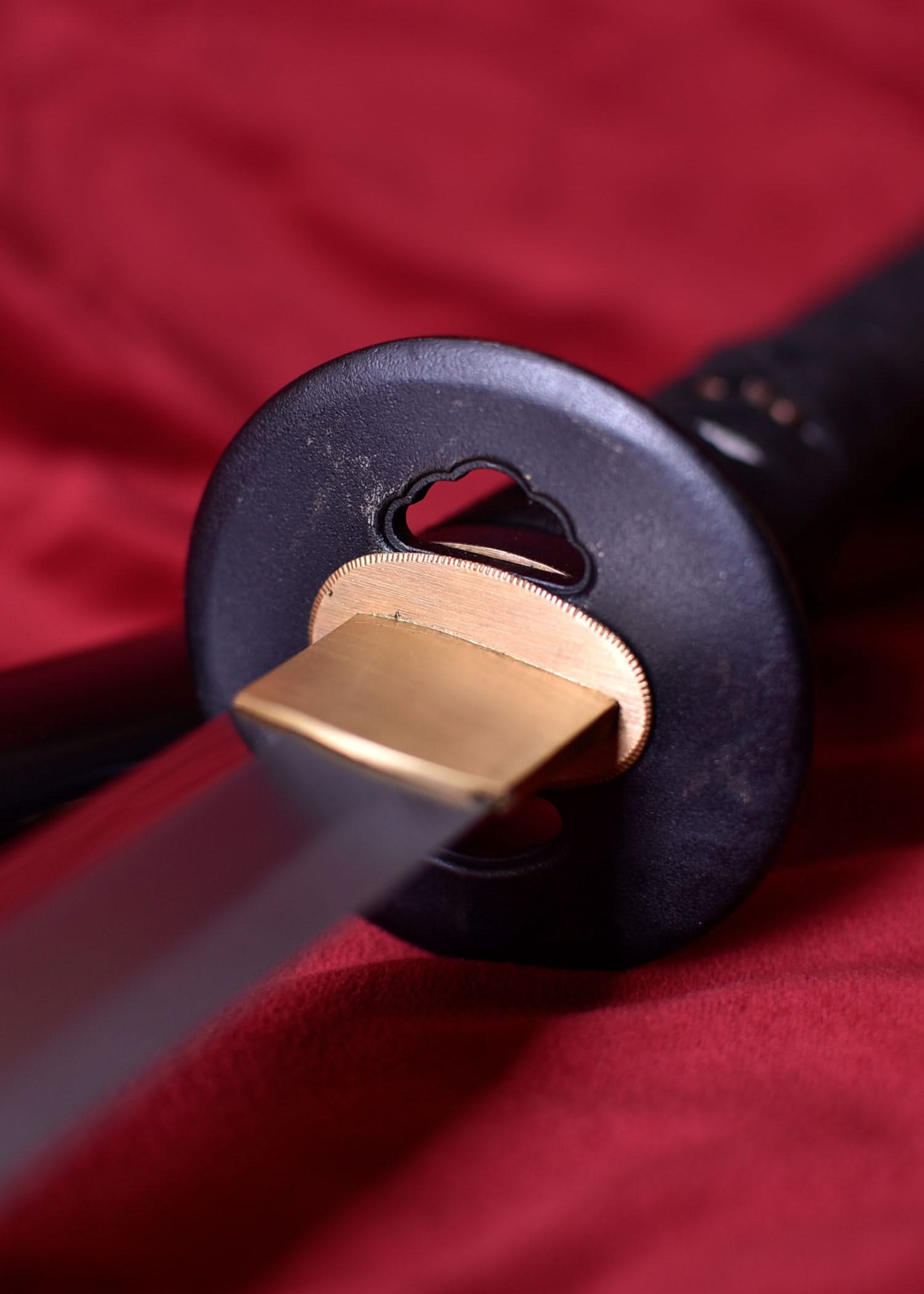 Paul Chen Practical Katana - 