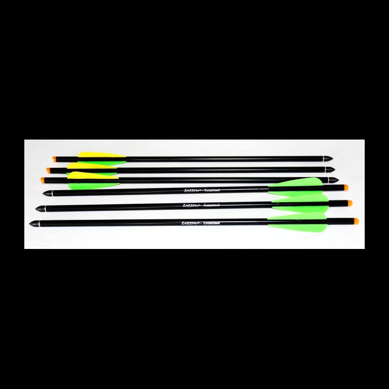 Hori-Zone Arbalette Rage Elite + 1 Pack de 6 flèches - 