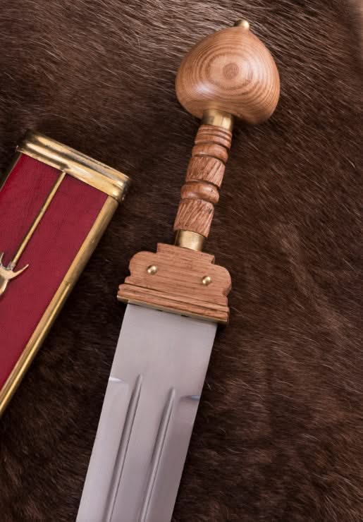 Spatha, épée romaine tardive avec fourreau - 