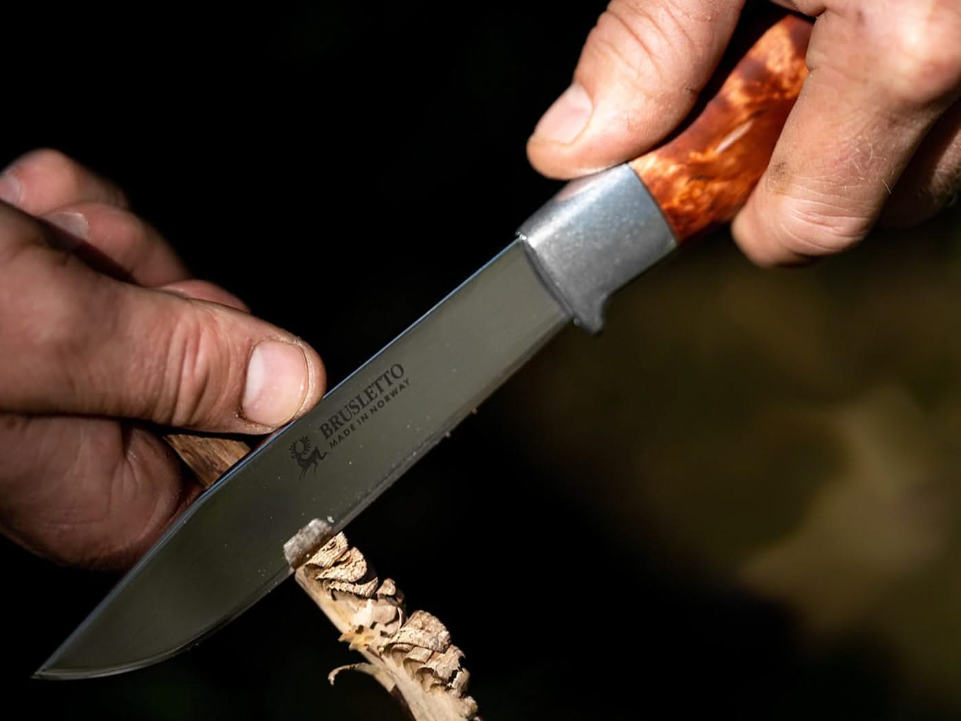 Brusletto Hunter - 
