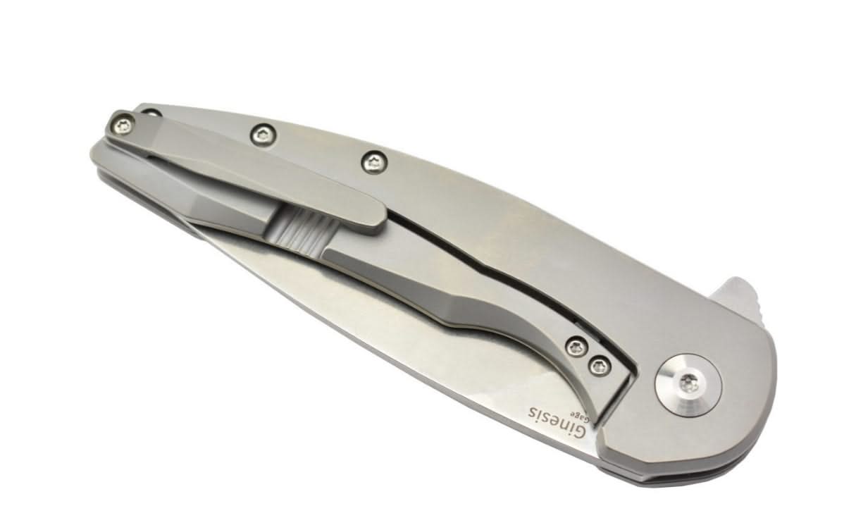 Kizer Ginesis par Gage lame acier S35VN - 