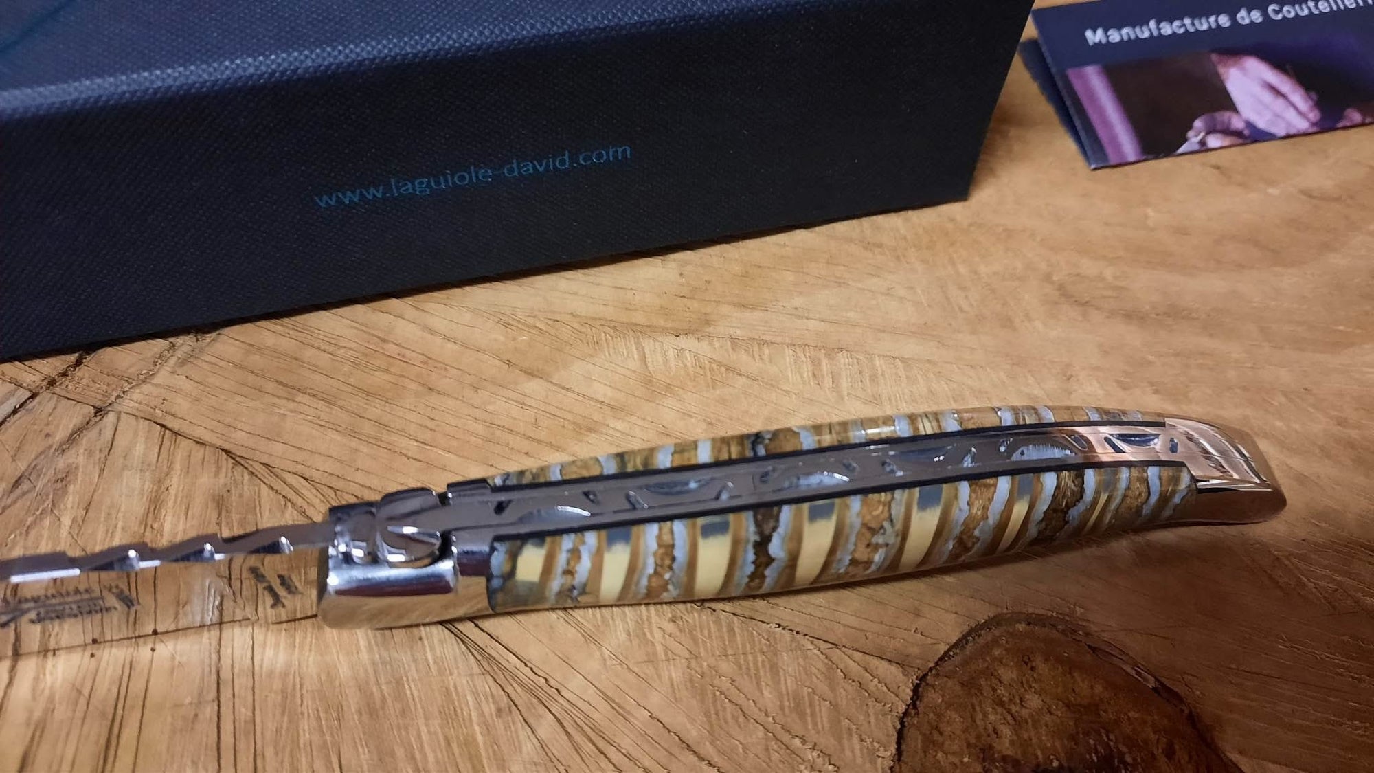 Laguiole G. DAVID Forge Molaire de Mammouth : Pièce unique - 