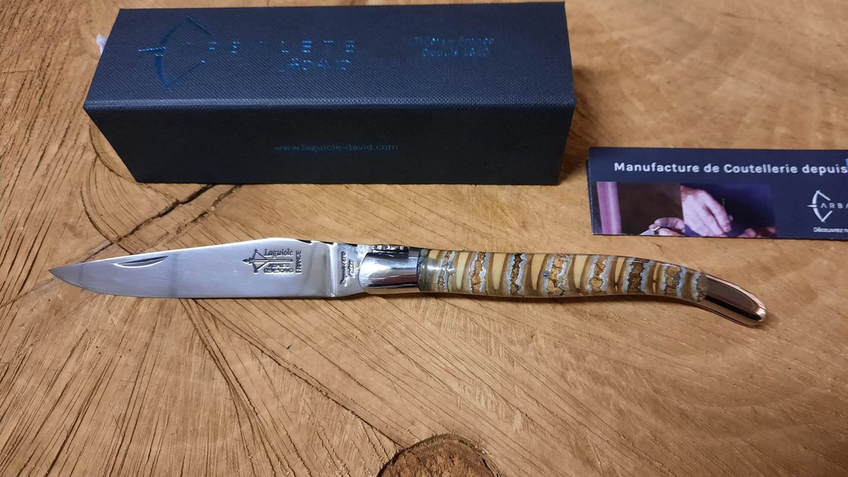 Laguiole G. DAVID Forge Molaire de Mammouth : Pièce unique - 