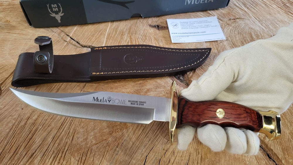 Muela BW16 Couteau de chasse Lame Bowie de 16 cm avec garde -