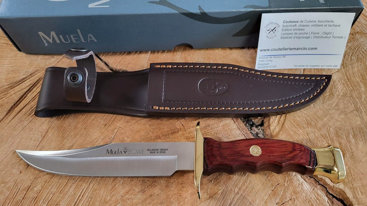 Muela BW16 Couteau de chasse Lame Bowie de 16 cm avec garde - 