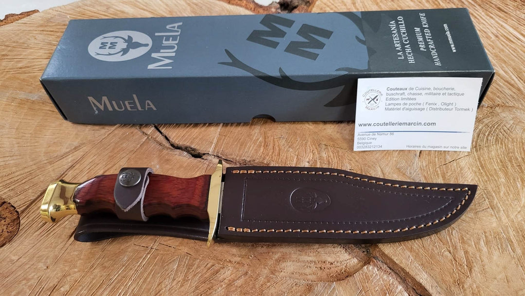 Muela BW16 Couteau de chasse Lame Bowie de 16 cm avec garde - 